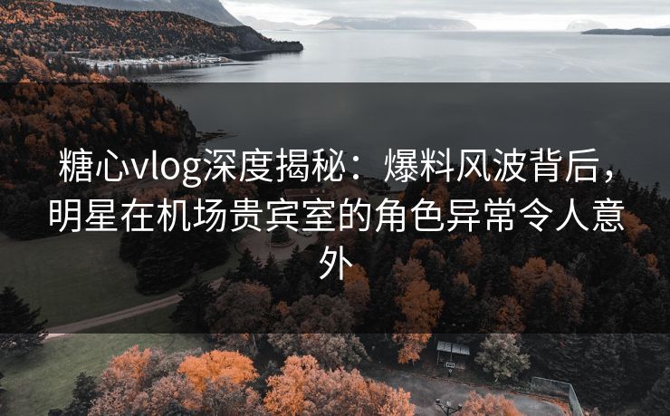 糖心vlog深度揭秘：爆料风波背后，明星在机场贵宾室的角色异常令人意外