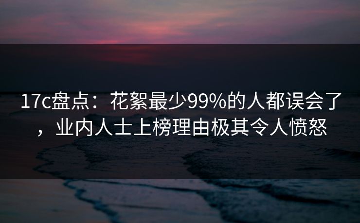 17c盘点：花絮最少99%的人都误会了，业内人士上榜理由极其令人愤怒