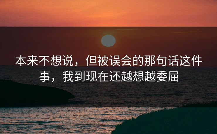 本来不想说，但被误会的那句话这件事，我到现在还越想越委屈