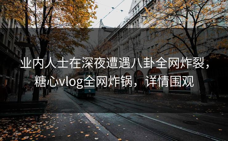 业内人士在深夜遭遇八卦全网炸裂，糖心vlog全网炸锅，详情围观